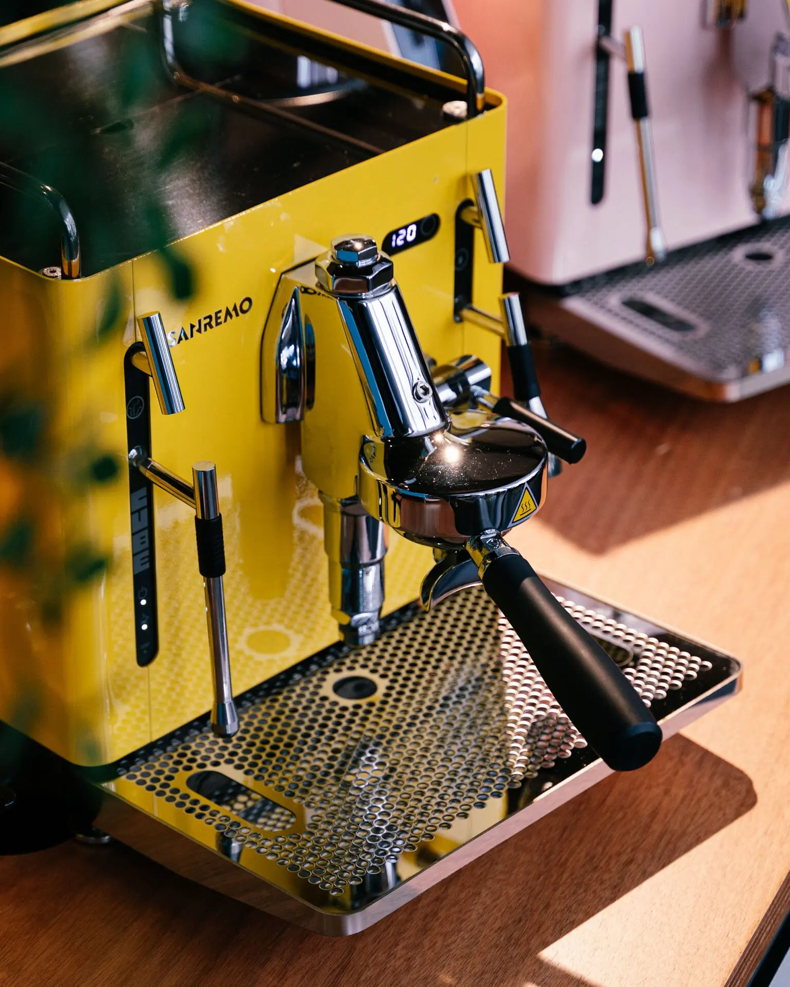 Yellow Sanremo Cube close up